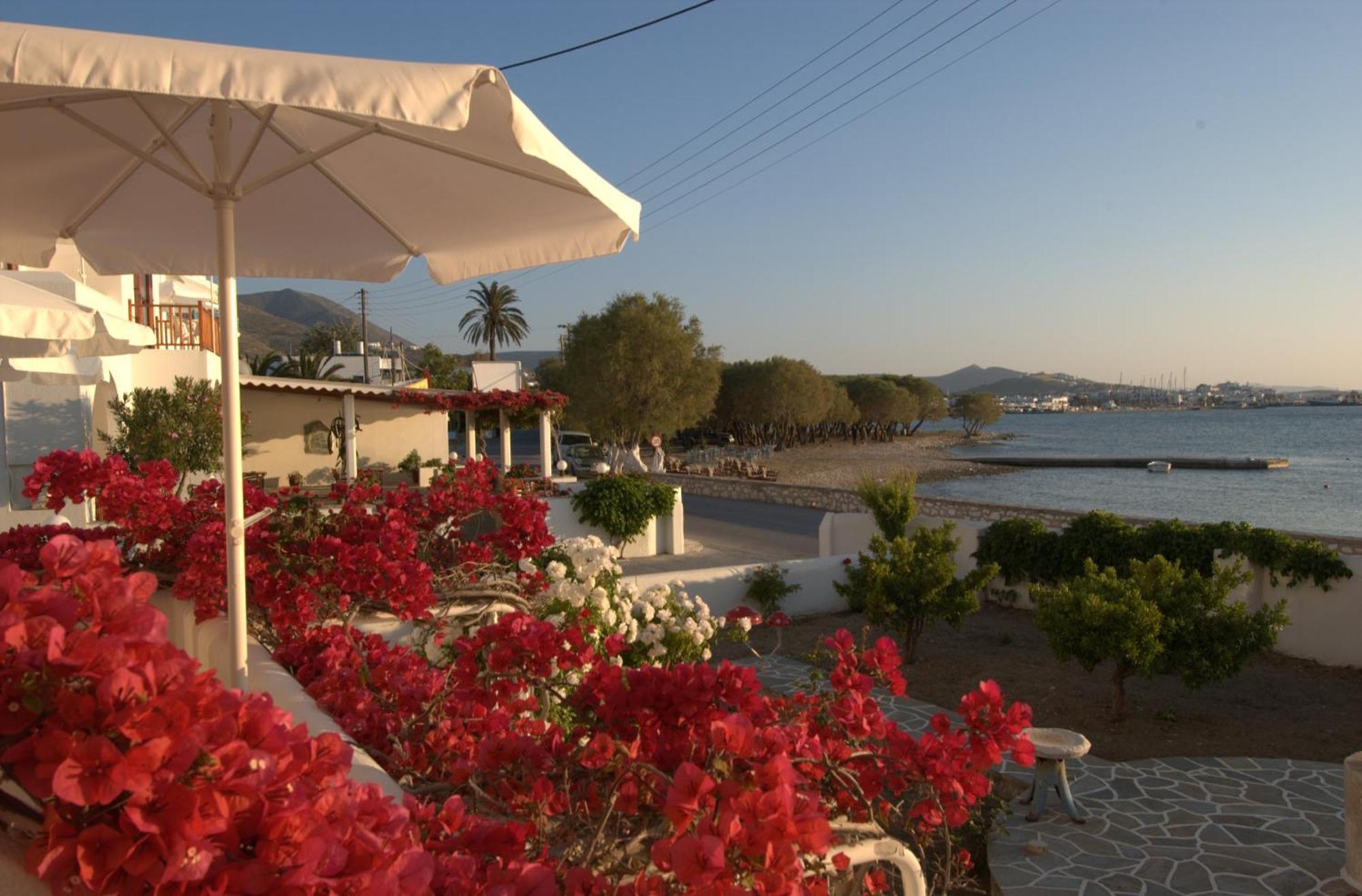 Irene Studios - Beachfront Páros Eksteriør billede