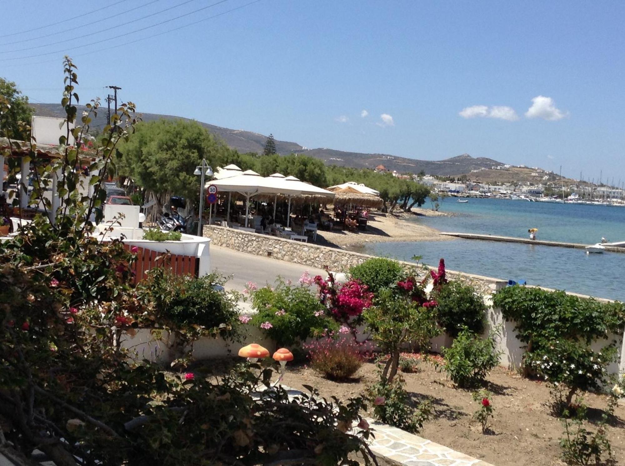 Irene Studios - Beachfront Páros Eksteriør billede